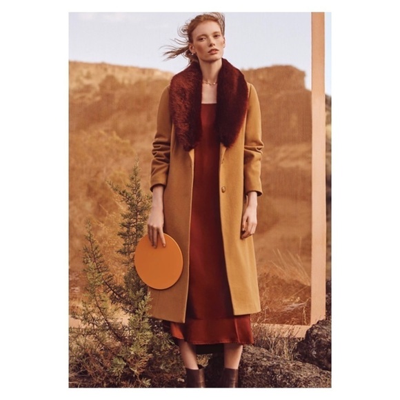 NWT CARTONNIER Anthropologie Sienna Collared Wool Blend Beige Long Coat Medium - Picture 4 of 16